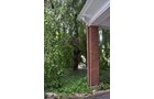 Property photo 30 - Historic Beechwood Circle Mansion